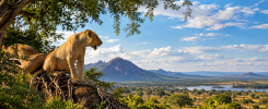 East Africa’s Hidden Wilderness